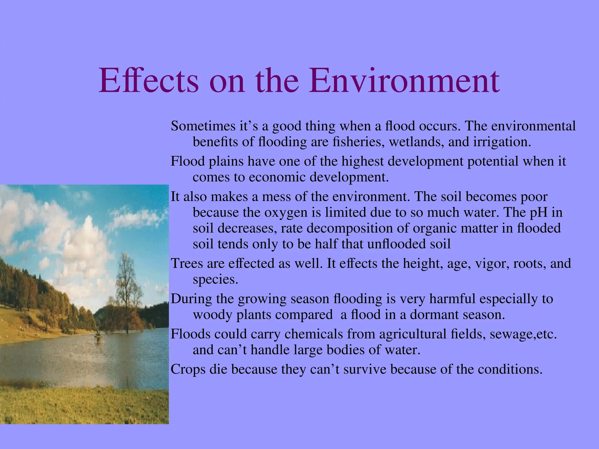 Effects on the Environment
Sometimes it’s a good thing when a flood occurs. The environmental
benefits of flooding are fisheries, wetlands, and irrigation.
Flood plains have one of the highest development potential when it
comes to economic development.
It also makes a mess of the environment. The soil becomes poor
because the oxygen is limited due to so much water. The pH in
soil decreases, rate decomposition of organic matter in flooded
soil tends only to be half that unflooded soil
Trees are effected as well. It effects the height, age, vigor, roots, and
species.
During the growing season flooding is very harmful especially to
woody plants compared a flood in a dormant season.
Floods could carry chemicals from agricultural fields, sewage,etc.
and can’t handle large bodies of water.
Crops die because they can’t survive because of the conditions.
 