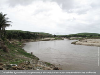 USAID/Brasil – João Parreiras O nível das águas do rio Una permanece alto depois das chuvas que resultaram nas enchentes 