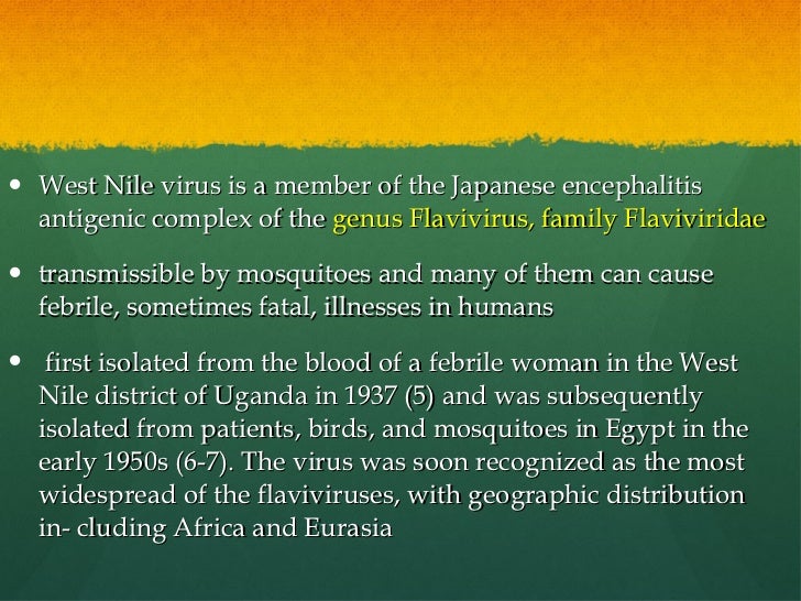 the background and distribution of the west nile virus from uganda Get the facts on west nile virus a virus known as the west nile virus first identified in uganda in west nile virus infection is also called west nile fever. the background and distribution of the west nile virus from uganda Get the facts on west nile virus a virus known as the west nile virus first identified in uganda in west nile virus infection is also called west nile fever.