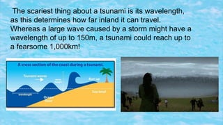 How high might a tsunami wave reach
