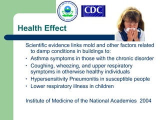 Health Effect Scientific evidence links mold and other factors related to damp conditions in buildings to: Asthma symptoms in those with the chronic disorder Coughing, wheezing, and upper respiratory symptoms in otherwise healthy individuals Hypersensitivity Pneumonitis in susceptible people Lower respiratory illness in children Institute of Medicine of the National Academies  2004 