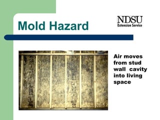Mold Hazard Air moves from stud wall  cavity into living space 