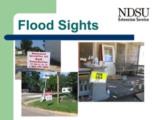 Flood Sights 