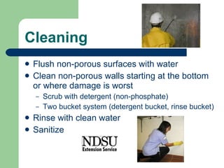 Cleaning Flush non-porous surfaces with water Clean non-porous walls starting at the bottom or where damage is worst Scrub with detergent (non-phosphate) Two bucket system (detergent bucket, rinse bucket) Rinse with clean water Sanitize 
