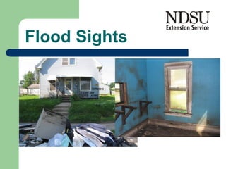 Flood Sights 