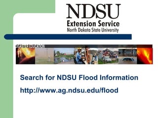 Search for NDSU Flood Information http://www.ag.ndsu.edu/flood 