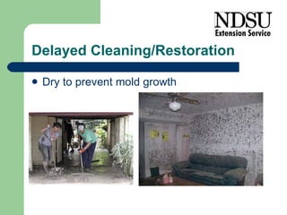 Delayed Cleaning/Restoration Dry to prevent mold growth 
