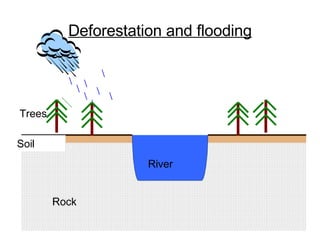 Deforestation and flooding Rock Trees River Soil 