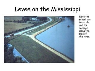 Levee on the Mississippi Note the school bus for scale and the seepage along the side of the levee. 