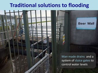 Traditional solutions to flooding
Man made drains and a
system of sluice gates to
control water levels
 
