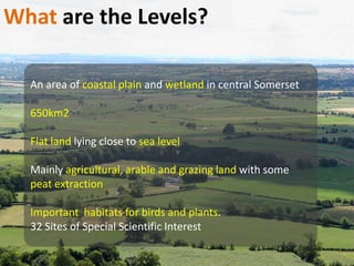 An area of coastal plain and wetland in central Somerset
650km2
Flat land lying close to sea level
Mainly agricultural, arable and grazing land with some
peat extraction
Important habitats for birds and plants.
32 Sites of Special Scientific Interest
What are the Levels?
 