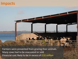 Farmers were prevented from grazing their animals.
Many cows had to be evacuated or sold
Financial cost likely to be in excess of £10 million
Impacts
 