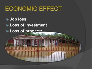 ECONOMIC EFFECT
 Job

loss
 Loss of investment
 Loss of property

 