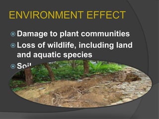 ENVIRONMENT EFFECT
 Damage

to plant communities
 Loss of wildlife, including land
and aquatic species
 Soil erosion

 