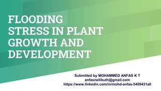 FLOODING
STRESS IN PLANT
GROWTH AND
DEVELOPMENT
Submitted by MOHAMMED ANFAS K T
anfasnellikuth@gmail.com
https://www.linkedin.com/in/mohd-anfas-5409431a0
 