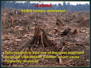 Deforestation is also one of the most importantDeforestation is also one of the most important
factor for Uttarakhand disaster, which causefactor for Uttarakhand disaster, which cause
frequently landslide.frequently landslide.
30 YEARS30 YEARS
44,868 hactors deforested44,868 hactors deforested
 