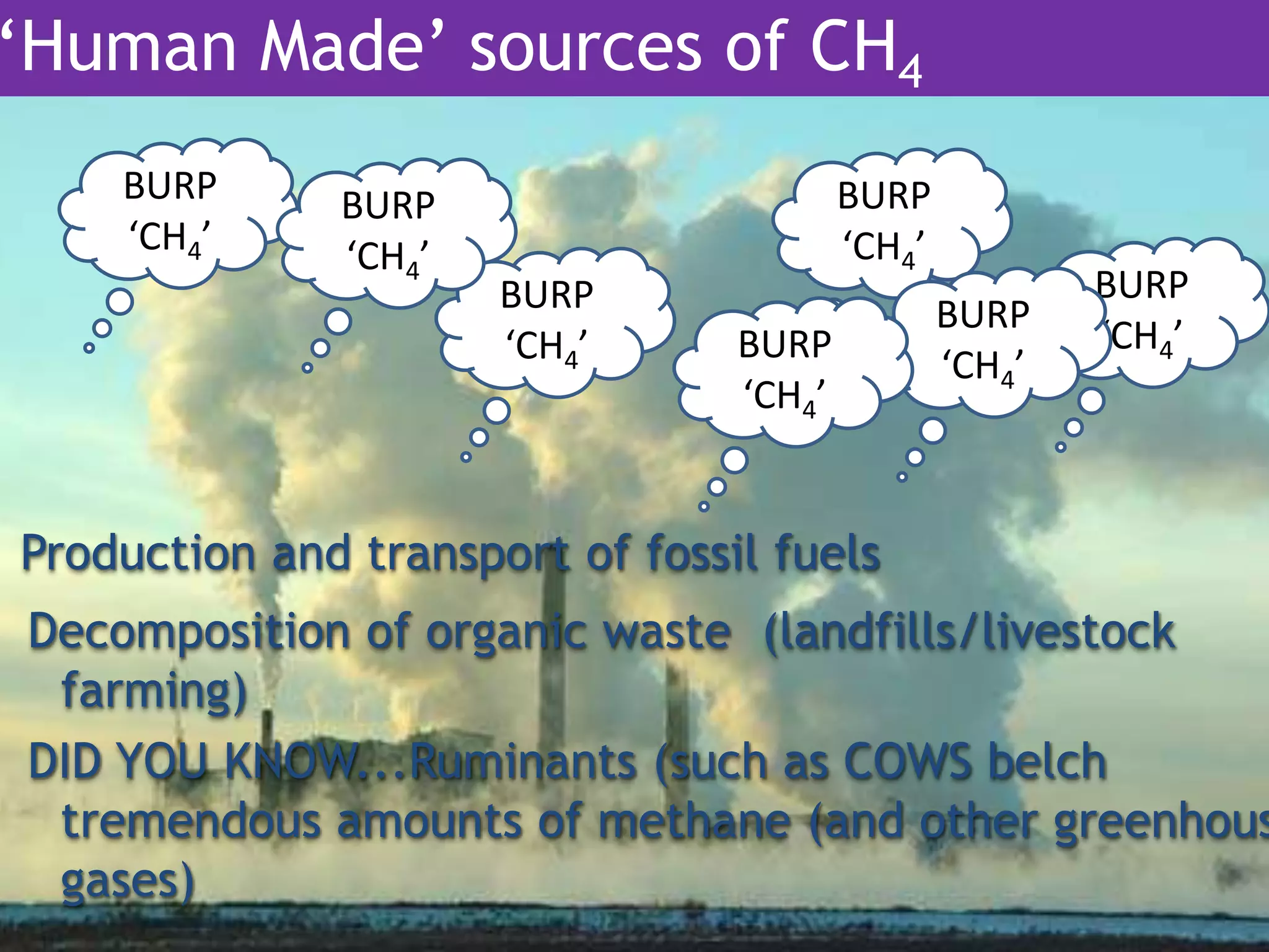 Production and transport of fossil fuels
Decomposition of organic waste (landfills/livestock
farming)
DID YOU KNOW...Ruminants (such as COWS belch
tremendous amounts of methane (and other greenhous
gases)
BURP
‘CH4’
BURP
‘CH4’
BURP
‘CH4’
BURP
‘CH4’BURP
‘CH4’
BURP
‘CH4’
BURP
‘CH4’
‘Human Made’ sources of CH4
 