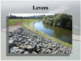 Levees
 