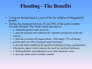Flooding - The Benefits

• Living on flooded land is a way of life for millions of Bangladeshi
  people.
• During the monsoon between 30 and 50% of the entire country
  becomes flooded. The flood waters are used to:
    –   1. replenish ground water reserves;
    –   2. provide nutrient-rich sediment for vegetable production in the dry
    –   season;
    –   3. provide a resource for aqua-culture - fish supply 75% of dietary
    –   protein and over 10% of annual export earnings;
    –   4. provide ideal conditions for growth of nitrogen-fixing cyanobacteria
    –   (blue/green algae) which reduces the need for artificial fertilisers;
    –   5. flush pollutants and pathogens away from domestic areas;
    –   6. provides some micro-climatic control.
 