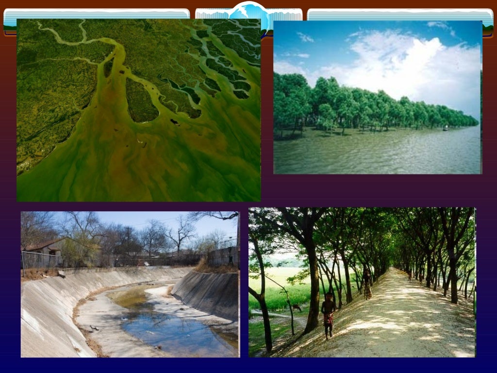 flood-management-ppt