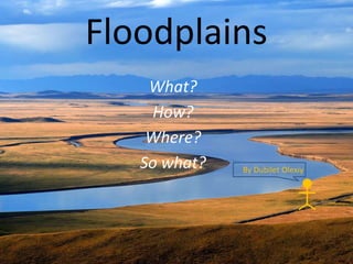 Floodplains
What?
How?
Where?
So what?

By Dubilet Olexiy

 