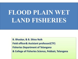 FLOOD PLAIN WET
LAND FISHERIES
B. Bhaskar, & B. Shiva Naik
Field officer& Assistant professor(CTF)
Fisheries Department of Telangana
& College of Fisheries Science, Pebbair, Telangana
 