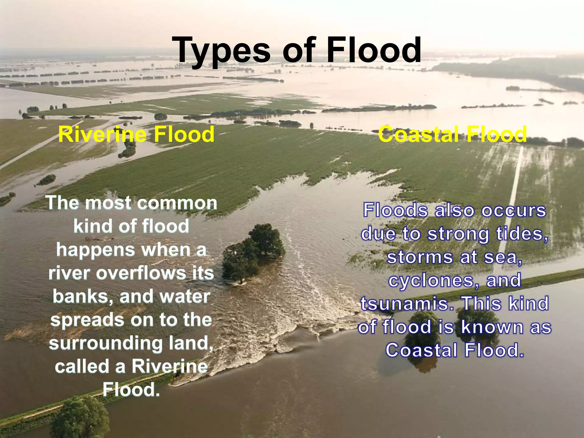 Types of Flood
Riverine Flood Coastal Flood
 