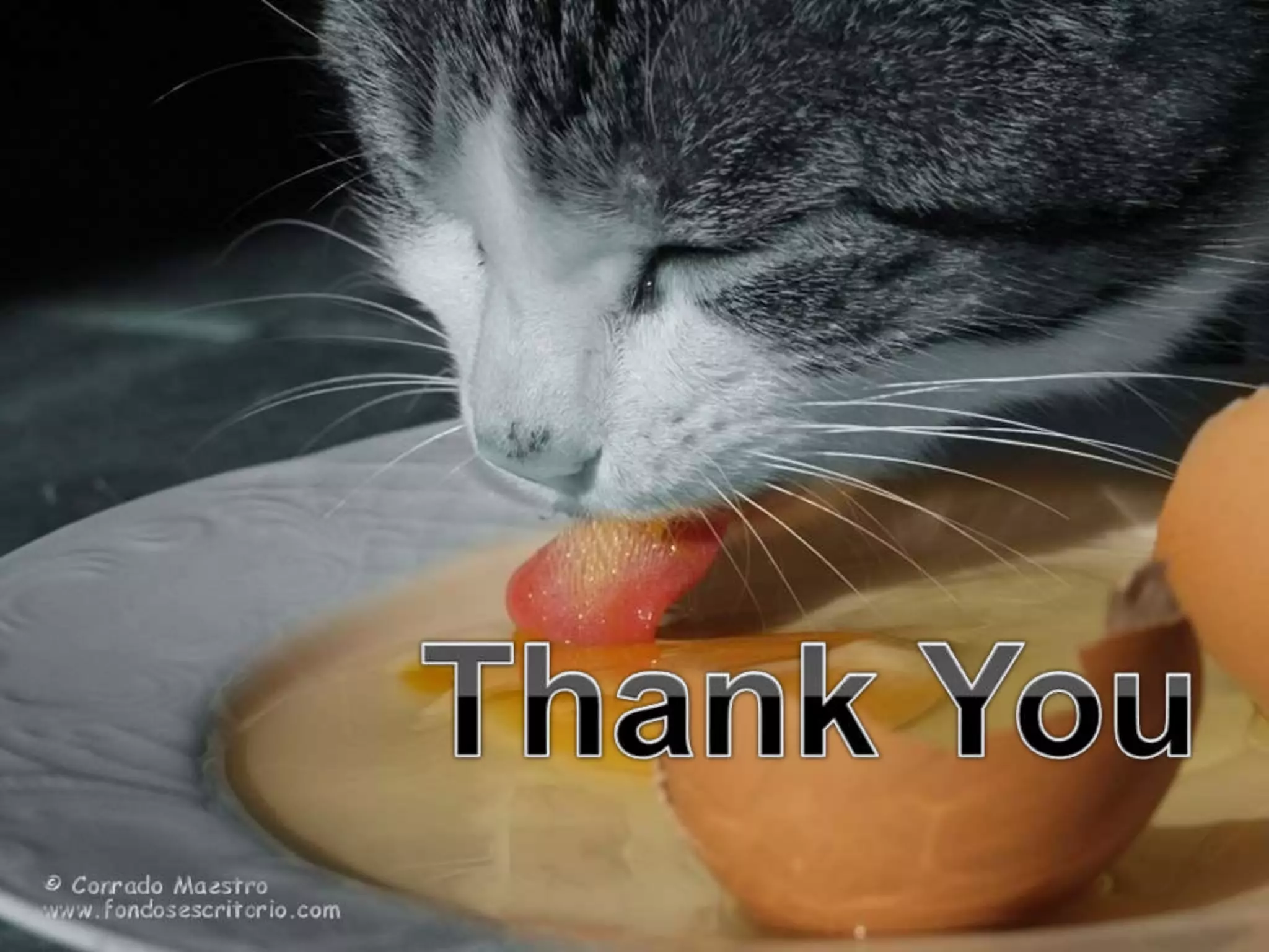 Flood presentation with more media