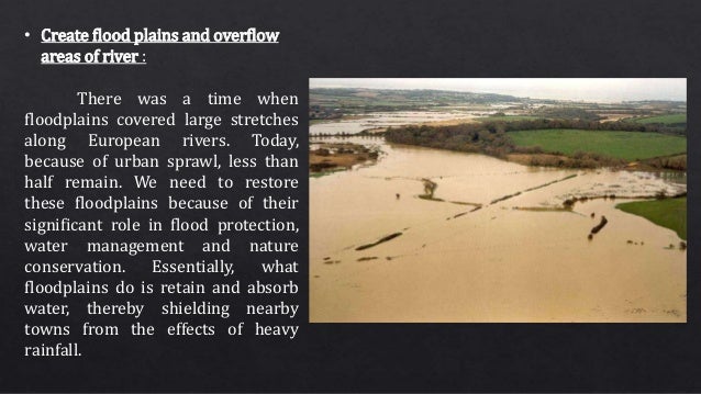 Surat flood 2006 case study picture