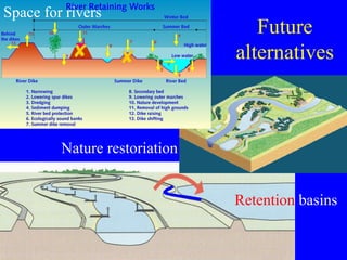 Flood Protection And Management Nl