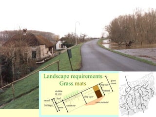 Flood Protection And Management Nl