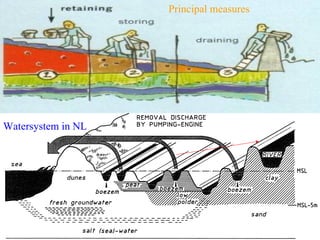 Flood Protection And Management Nl
