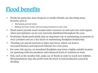 Flood benefits
• Floods (in particular more frequent or smaller floods) can also bring many
benefits, such as
– Recharging...