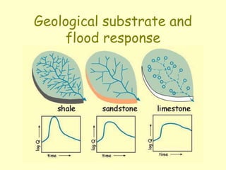 Substrate Types In Rivers Floods.ppt