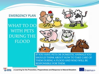EMERGENCY PLAN
WHAT TO DO
WITH PETS
DURING THE
FLOOD
e-Learning for the Prevention, Preparedness and Response to Natural Disasters
IF YOU HAVE PETS OR DOMESTIC ANIMALS YOU
SHOULD THINK ABOUT HOW TO TAKE CARE OF
THEM DURING A FLOOD AND WHO WILL BE
RESPONSIBLE FOR THEM.
 