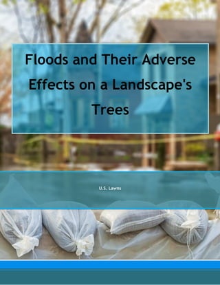 Floods and Their Adverse
Effects on a Landscape's
Trees
U.S. Lawns
 