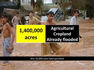 Also 10,000 cows have perished<br />