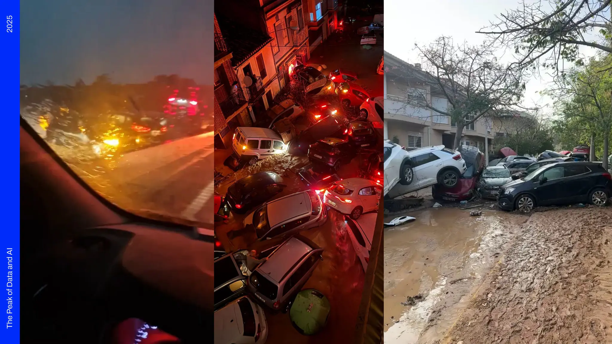 2025
The
Peak
of
Data
and
AI
 