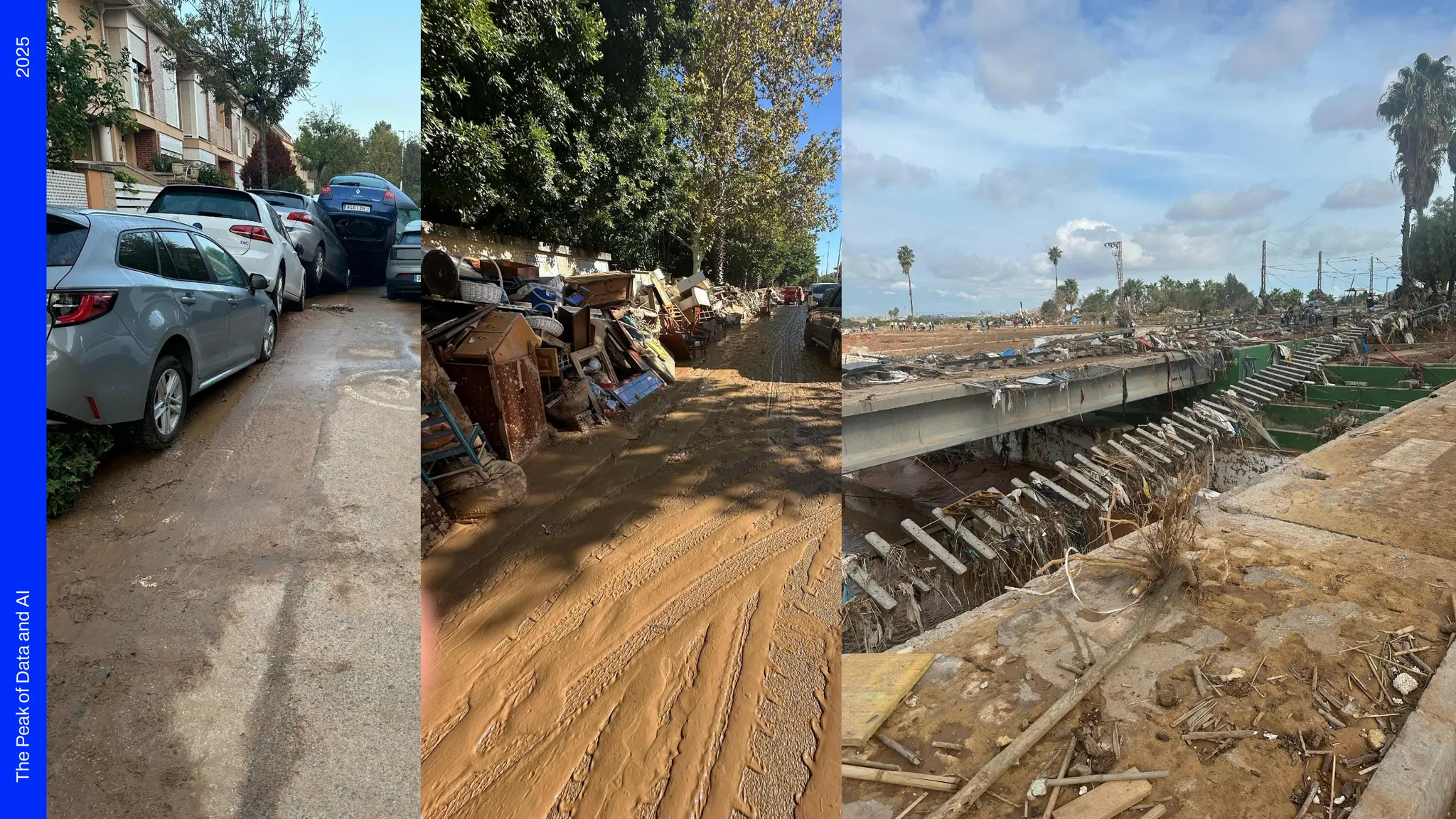 2025
The
Peak
of
Data
and
AI
Worst ﬂooding ever
 