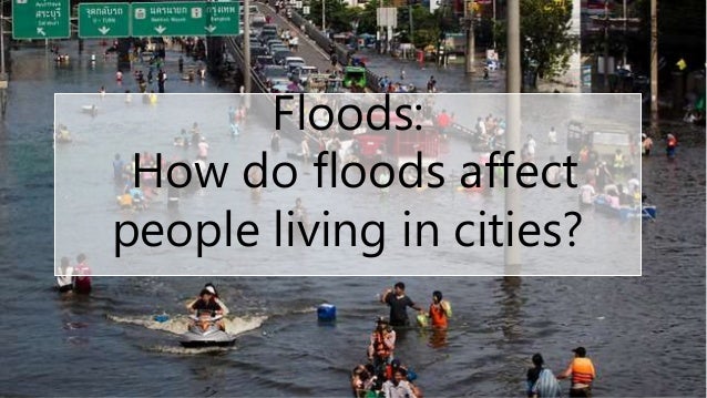 Human influence on floods research essays