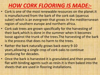 HOW CORK FLOORING IS MADE:-
• Cork is one of the most renewable resources on the planet.It
is manufactured from the bark of the cork oak (quercus
suber) which is an evergreen that grows in the mediterranean
region of southern europe and northern africa.
• Cork oak trees are grown specifically for the harvesting of
their bark,which is done in the summer when it becomes
loose against the trunk of the trees.The harvesting of the bark
is the process that does no harm to the trees.
• Rather the bark naturally grows back every 9-10
years,allowing a single crop of cork oaks to continue
producing for decades.
• Once the bark is harvested it is granulated,and then pressed
flat with binding agents such as resin.It is then baked into the
sheets that are used in flooring installations.
 