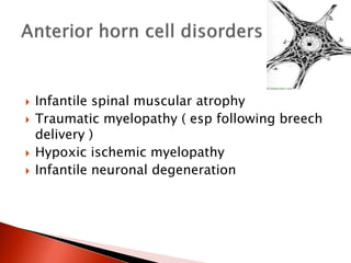  Infantile spinal muscular atrophy
 Traumatic myelopathy ( esp following breech
delivery )
 Hypoxic ischemic myelopathy
 Infantile neuronal degeneration
 