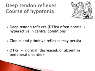  Deep tendon reflexes (DTRs) often normal /
hyperactive in central conditions
 Clonus and primitive reflexes may persist
 DTRs - normal, decreased, or absent in
peripheral disorders
 