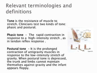 Tone is the resistance of muscle to
stretch. Clinicians test two kinds of tone:
phasic and postural.
Phasic tone - The rapid contraction in
response to a high-intensity stretch , as
in tendon reflex response .
Postural tone - It is the prolonged
contraction of antigravity muscles in
response to the low-intensity stretch of
gravity. When postural tone is depressed,
the trunk and limbs cannot maintain
themselves against gravity and the infant
appears floppy.
 