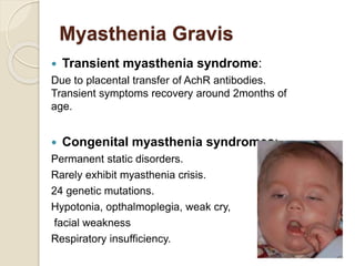 Myasthenia Gravis
 Transient myasthenia syndrome:
Due to placental transfer of AchR antibodies.
Transient symptoms recovery around 2months of
age.
 Congenital myasthenia syndromes:
Permanent static disorders.
Rarely exhibit myasthenia crisis.
24 genetic mutations.
Hypotonia, opthalmoplegia, weak cry,
facial weakness
Respiratory insufficiency.
 