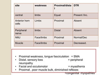 site weakness Proximal/dista
l
DTR
central limbs Equal Present /Inc.
Anterior horn
cells
Limbs Proximal Absent
Peripheral
nerve
limbs Distal Absent
NMJ Face/limbs Proximal Normal/Dec
Muscle Face/limbs Proximal Decreased.
• Proximal weakness, tongue fasciculation = SMA
• Distal, sensory loss = peripheral
neuropathy
• Facial and occulomotor = myasthenia
• Proximal , poor muscle bulk, diminished reflexes
=congenital myopathies
 