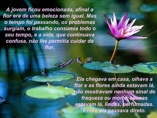 A jovem ficou emocionada, afinal a
flor era de uma beleza sem igual. Mas
o tempo foi passando, os problemas
surgiam, o trabalho consumia todo o
seu tempo, e a vida, que continuava
confusa, não lhe permitia cuidar da
flor.
Ela chegava em casa, olhava a
flor e as flores ainda estavam lá,
não mostravam nenhum sinal de
fraqueza ou morte, apenas
estavam lá, lindas, perfumadas.
Então ela passava direto.
 