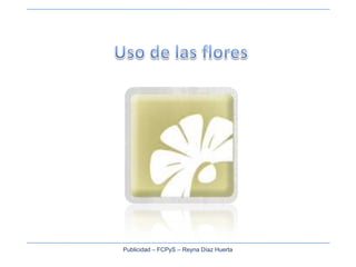Uso de las flores Publicidad – FCPyS – Reyna Díaz Huerta 