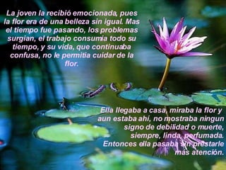 La joven la recibió emocionada, pues la flor era de una belleza sin igual. Mas el tiempo fue pasando, los problemas surgian, el trabajo consumia todo su tiempo, y su vida, que continuaba confusa, no le permitia cuidar de la flor. Ella llegaba a casa, miraba la flor y  aun estaba ahí, no mostraba ningun signo de debilidad o muerte, siempre, linda, perfumada. Entonces ella pasaba sin prestarle más atención. 