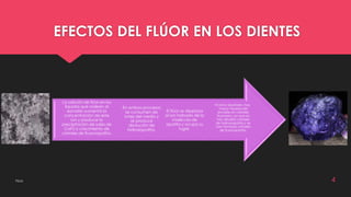 EFECTOS DEL FLÚOR EN LOS DIENTES 
•Como resultado, hay 
mayor riqueza del 
esmalte en cristales 
fluorados, ya que se 
han disuelto cristales 
de hidroxiapatita y se 
han formado cristales 
de fluoroapatita. 
El flúor se desplaza 
al ion hidroxilo de la 
molécula de 
apatita y ocupa su 
lugar. 
En ambos procesos 
se consumen de 
iones del medio y 
se produce 
disolución de 
hidroxiapatita. 
La adición de flúor en los 
líquidos que rodean al 
esmalte aumenta la 
concentración de este 
ion y produce la 
precipitación de sales de 
CaF2 o crecimiento de 
cristales de fluoroapatita. 
Flúor 4 
 